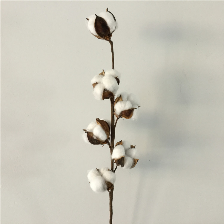厂家批发 干花棉花枝6头棉花长枝仿真棉花树枝客厅家居婚礼装饰品