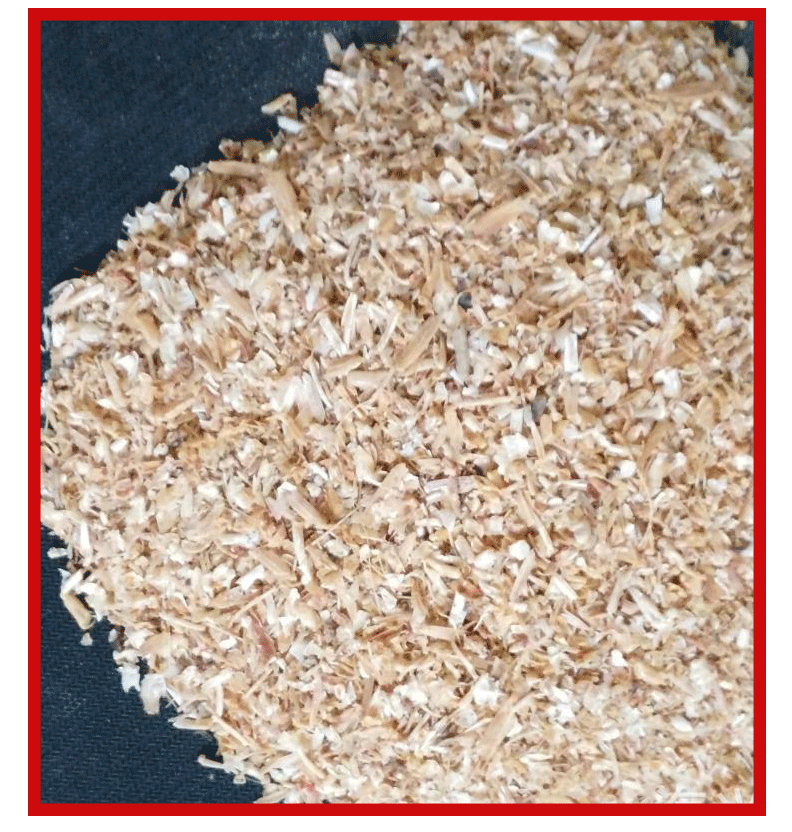 饲料机虾粉厂家 鱼饵虾粉 动物性饲料鲜虾粉批发