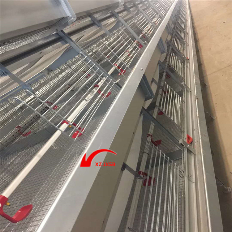 整套方形水线管 鲁宾饮水器按尺寸批发 养鸡设备 鸡笼设备