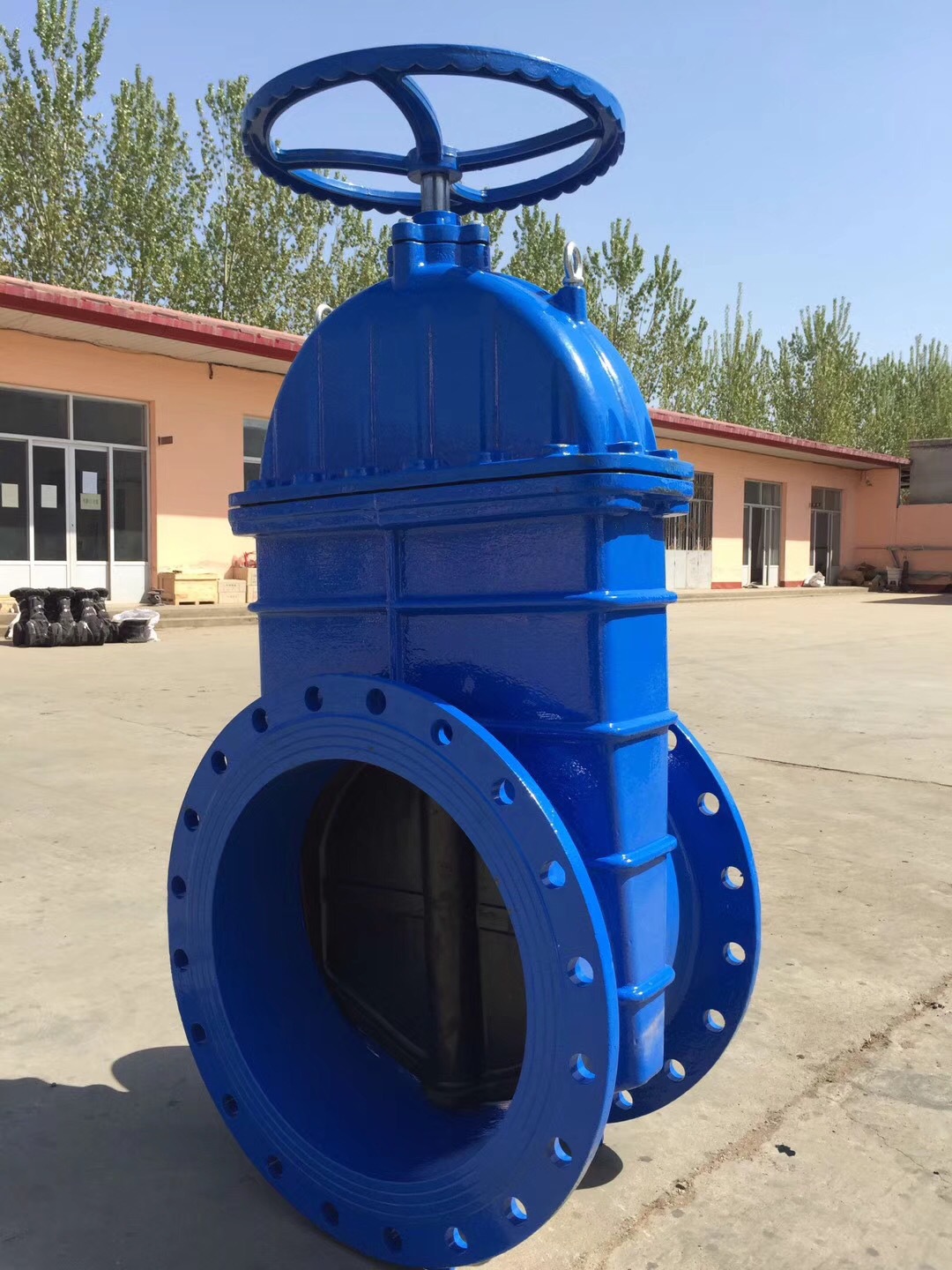 z45x-16q 软密封法兰式闸阀 球墨铸铁闸灰铸铁闸阀 污水处理