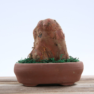 檀香木盆栽家居摆件香木盆景造型不一办公室书房客厅盆栽摆件包邮