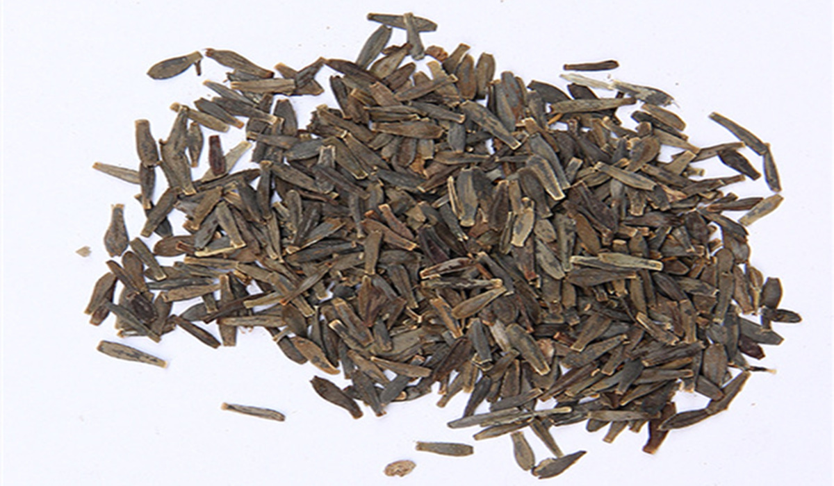 批发小丽花种子混色 小丽菊大丽花种籽 盆栽混色观赏花卉花籽