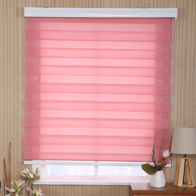 Foreign Trade Export Shutter Office Curtain Shading Lifting Louver Curtain Soft Gauze Curtain Double Roller Blind