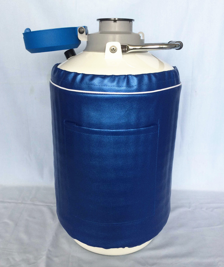 液氮罐10升yds-10液氮桶美容冰淇淋冻精液氮容器液氮储罐