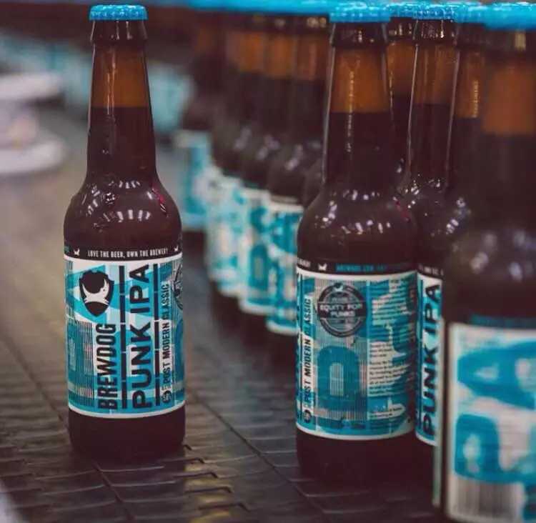 酿酒狗朋克ipa印度淡色艾尔啤酒330ml*24brewdo punk