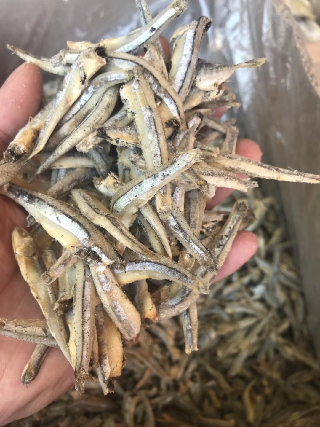 公鱼 公干鱼 鱼干 海鲜干货 鱼仔 海味干货 量大从优 水产干货