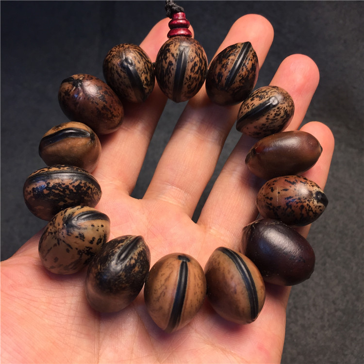 厂家供应菩提子佛珠手链 木鱼果 菩提手链 手串 手链批发