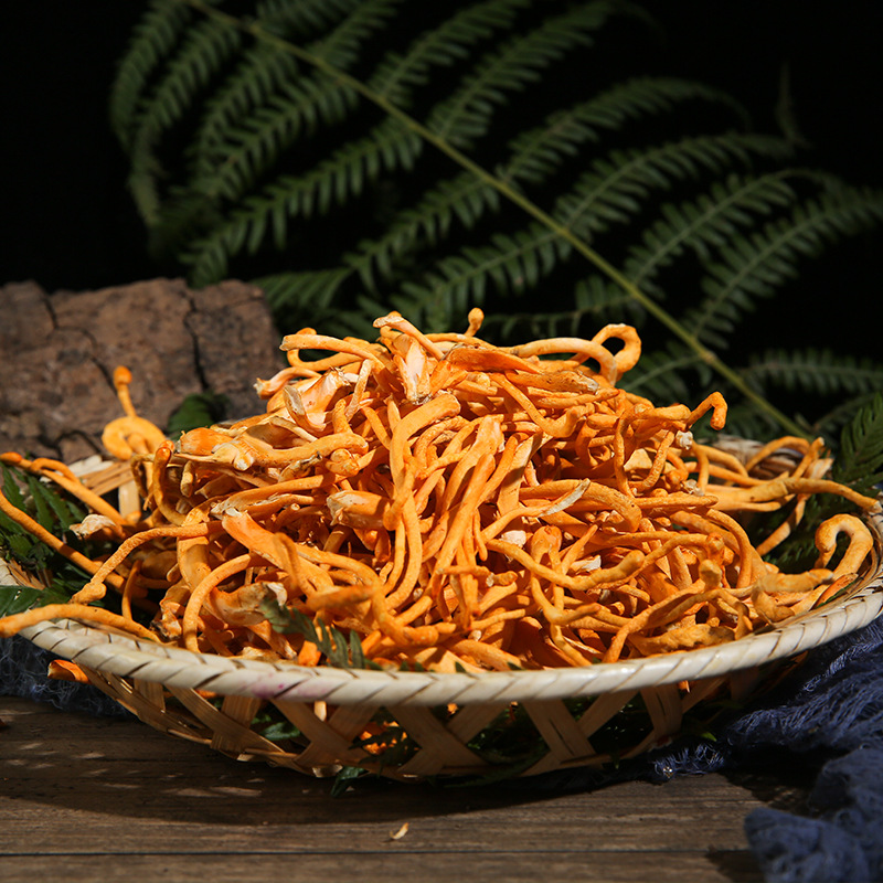 现货批发云南新鲜虫草花500g袋装排草火锅煲汤食材产地虫草花