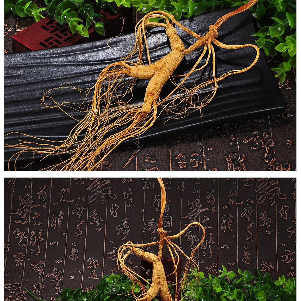 林下山参长白山人参东北干枝移山参吉林特产林下参15-18克移山参