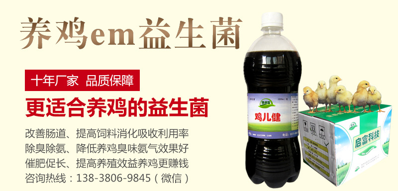 em益生菌养鸡