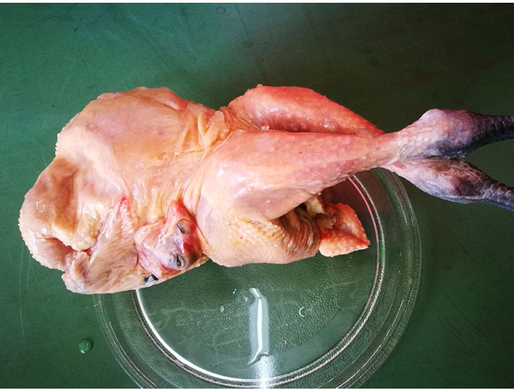 工厂直发青脚鸡土鸡麻鸡 麻鸡批发厂家供应麻鸡