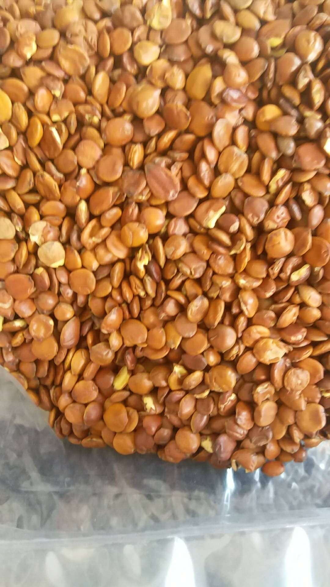 熟滇酸枣仁/酸枣仁批发酸枣仁产地直销五谷磨粉 花茶罐装用