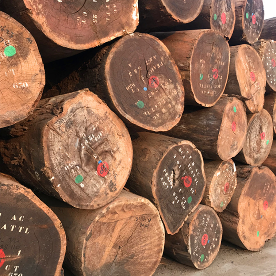 大量核桃木原木 黑胡桃板材 人面子家具地板工艺品旋切刨切木材