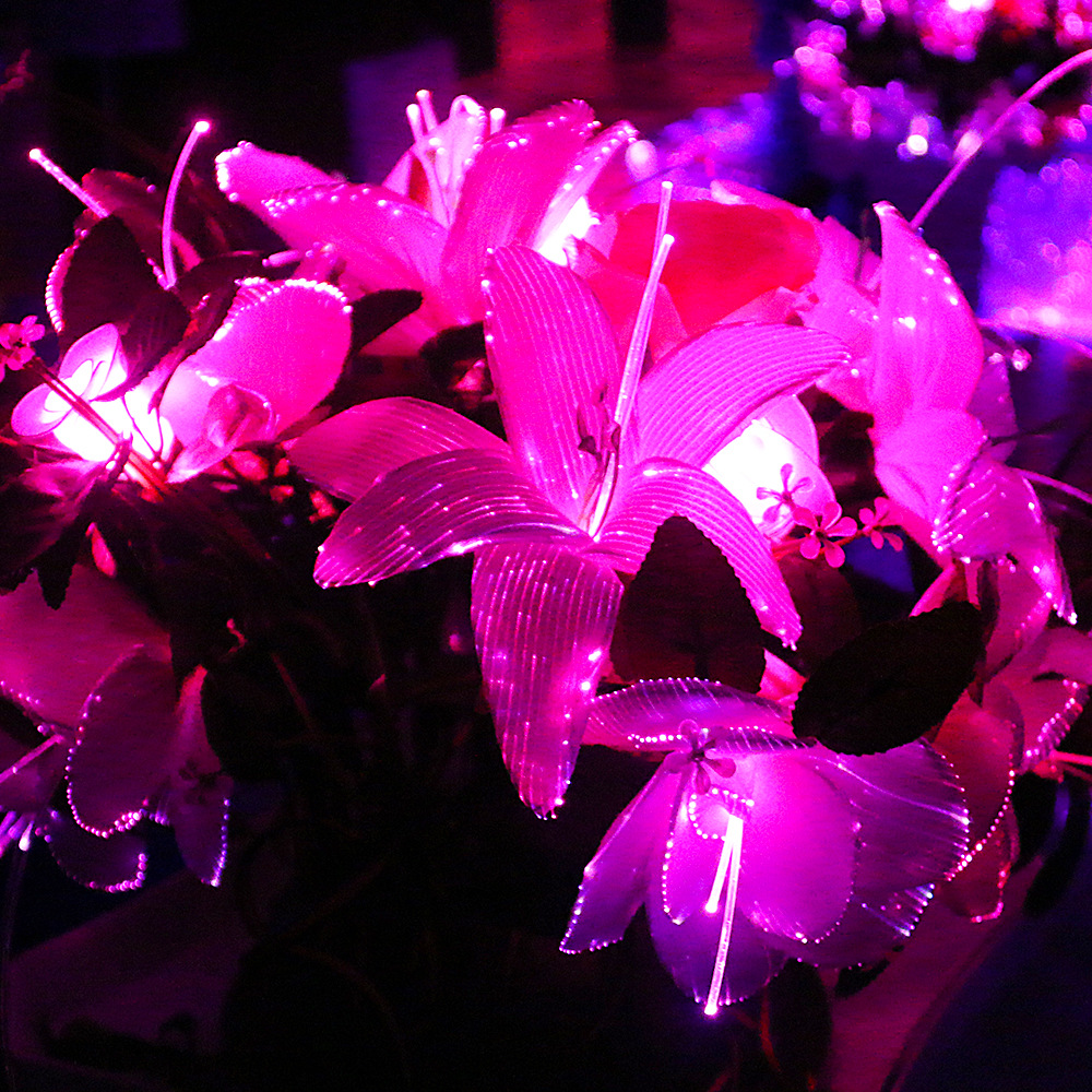 星空花朵全花朵发光 发光光纤花朵 夜光光纤发光玫瑰花 厂家批发