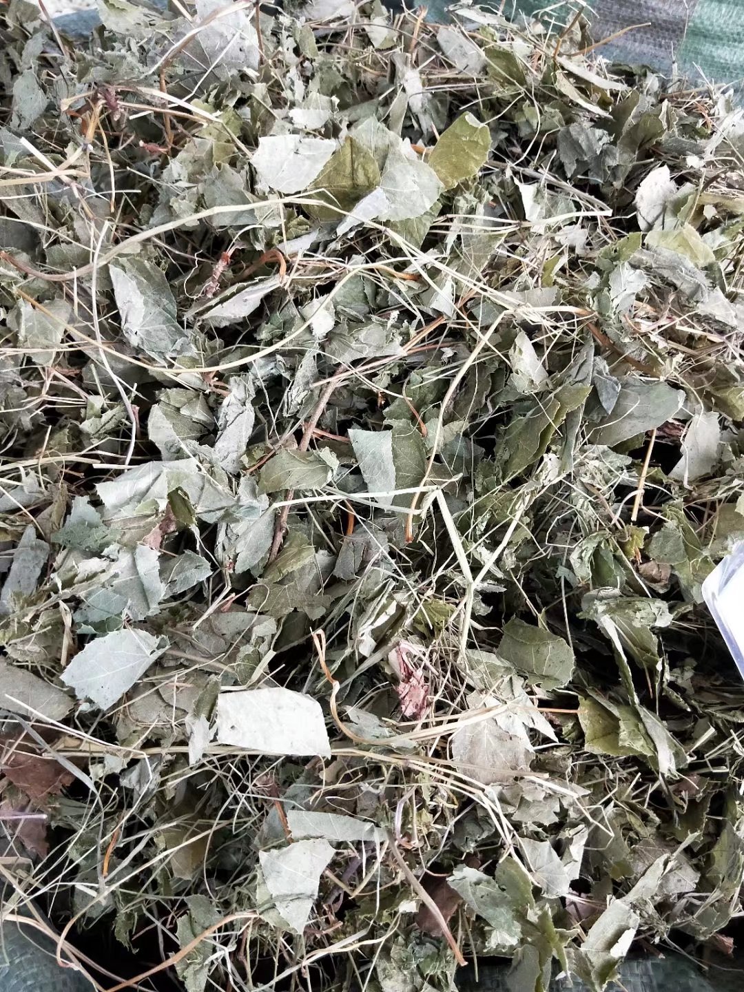 淫羊藿羊角叶每件500克