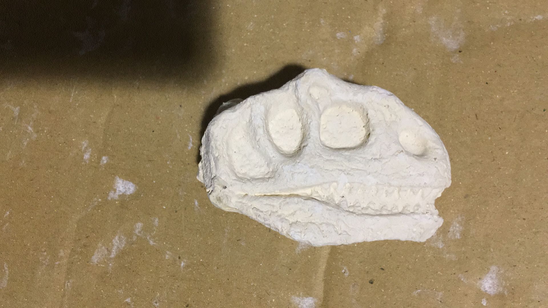 恐龙头恐龙牙齿远古考古挖掘石膏玩具石膏挖掘远古时代玩具