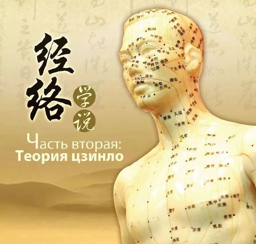 十二经络的基础知识及调理方法!