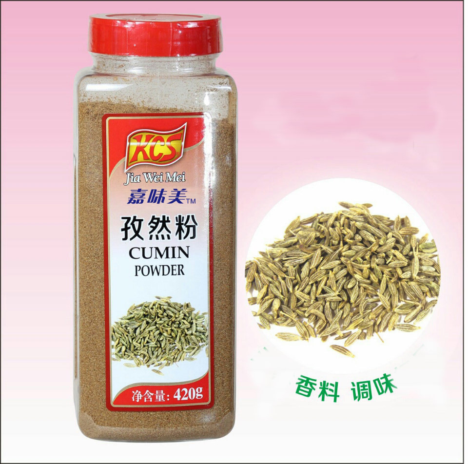 孜然粉批发 烧烤料孜然羊肉 嘉味美孜然粉420g 烧烤配料调味料