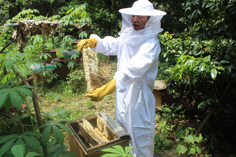 刘师傅讲解他的独特蜜蜂养殖