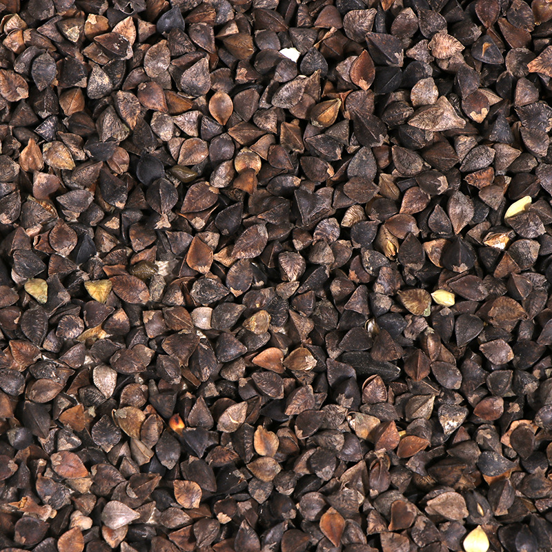 荞麦 带壳荞麦 酿酒 宠物饲料荞麦 五谷杂粮现货 带壳荞麦-阿里巴巴