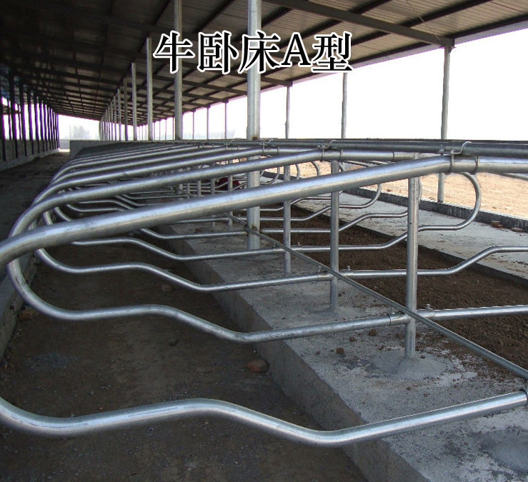 厂家直销双面奶牛卧床 单面牛卧床 牛卧栏 牛卧床配件 牛卧床抱卡