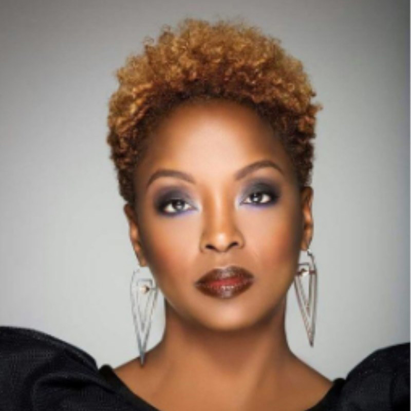 厂家直销现货外贸亚马逊独立站女短卷发小卷爆炸头套蓬松欧美假发