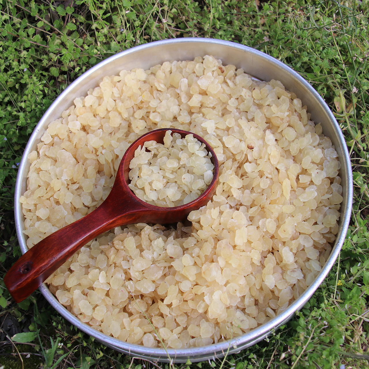 贵州皂角米_一贵州单夹皂角米 双荚野生皂荚 无硫雪莲子支持代发