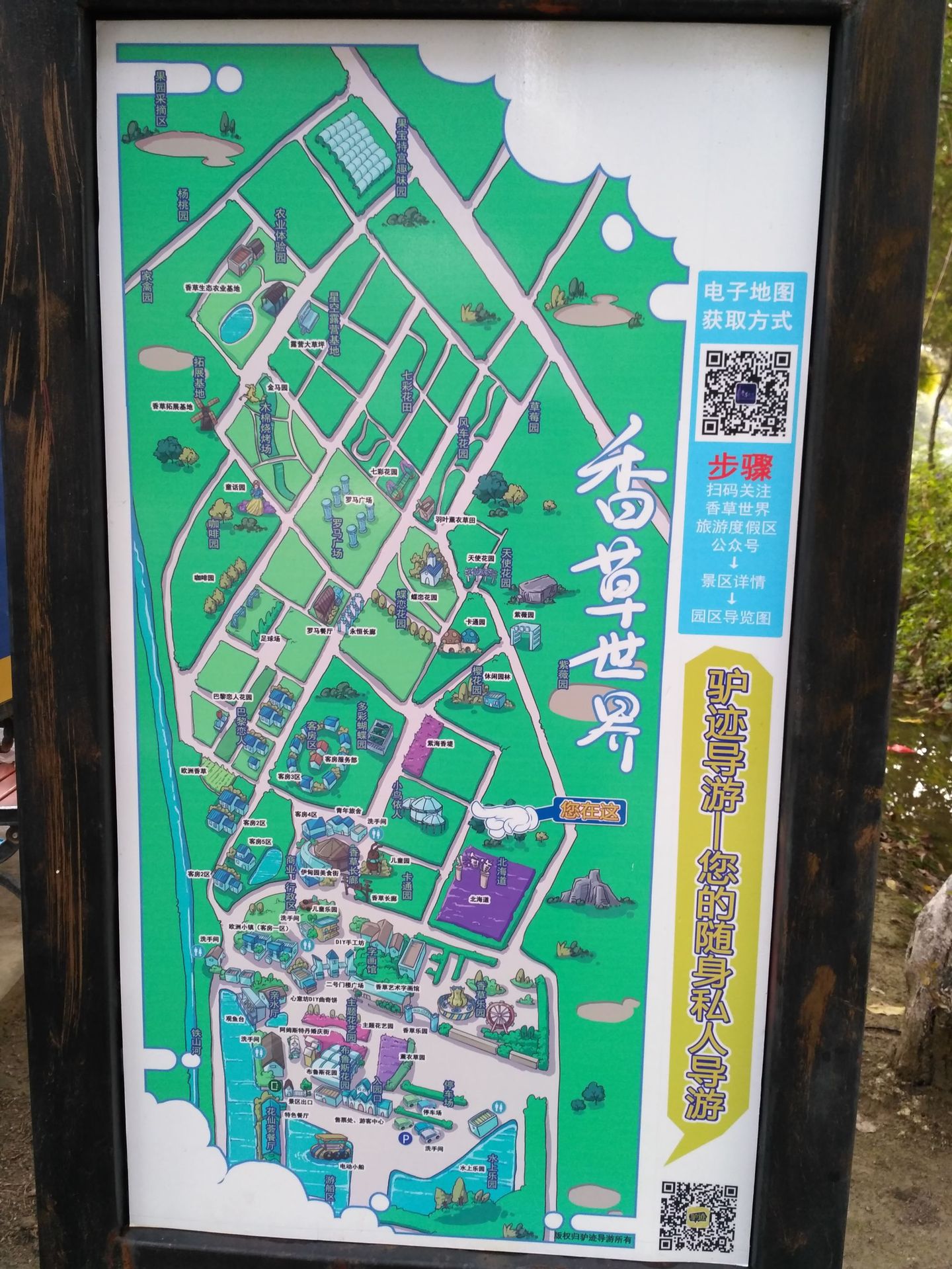 游拍花都香草世界