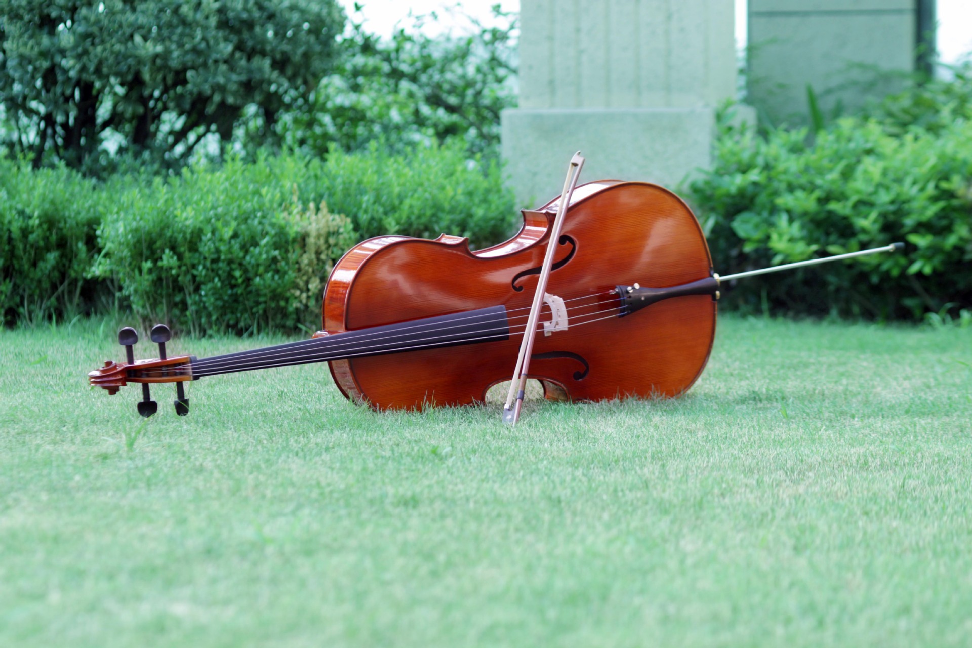 阿斯顿维拉 大提琴 正品 自然色 亮/哑光 虎纹云杉实木 大提琴