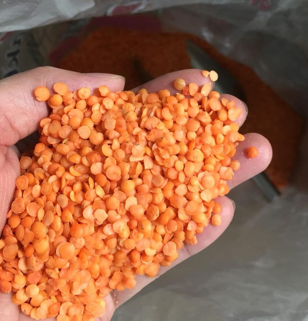 印帝王马粟豆1kg脱皮红扁豆浓汤阿拉伯阿拉伯食品红奴豆 五谷杂粮