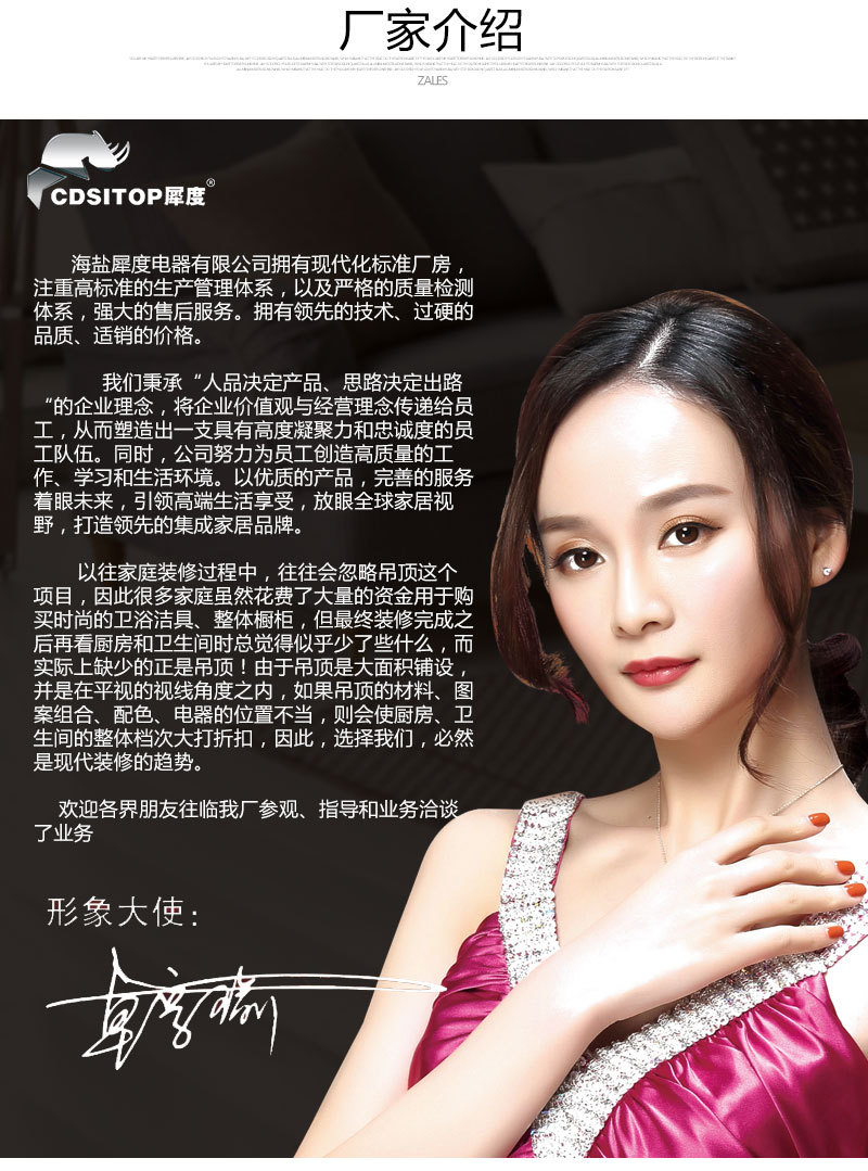 浴霸 集成 吊顶 超导双核风暖多功能五合一卫生间取暖器