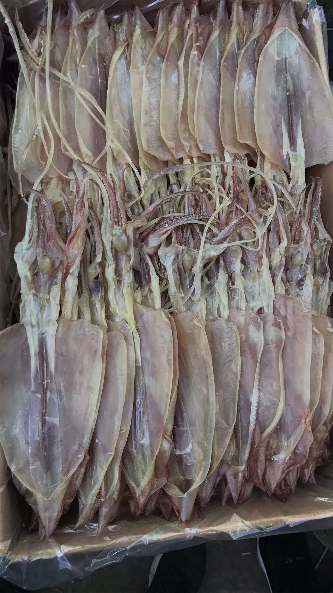 干货 乌贼干 咸鱼干 墨鱼干 大鱿鱼干 鱿鱼干 海鲜水产干货500克