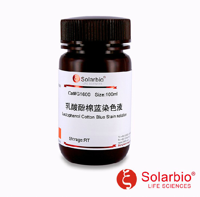 乳酸酚棉蓝染色液 g1600 100ml/瓶 乳酸酚棉蓝 索莱宝