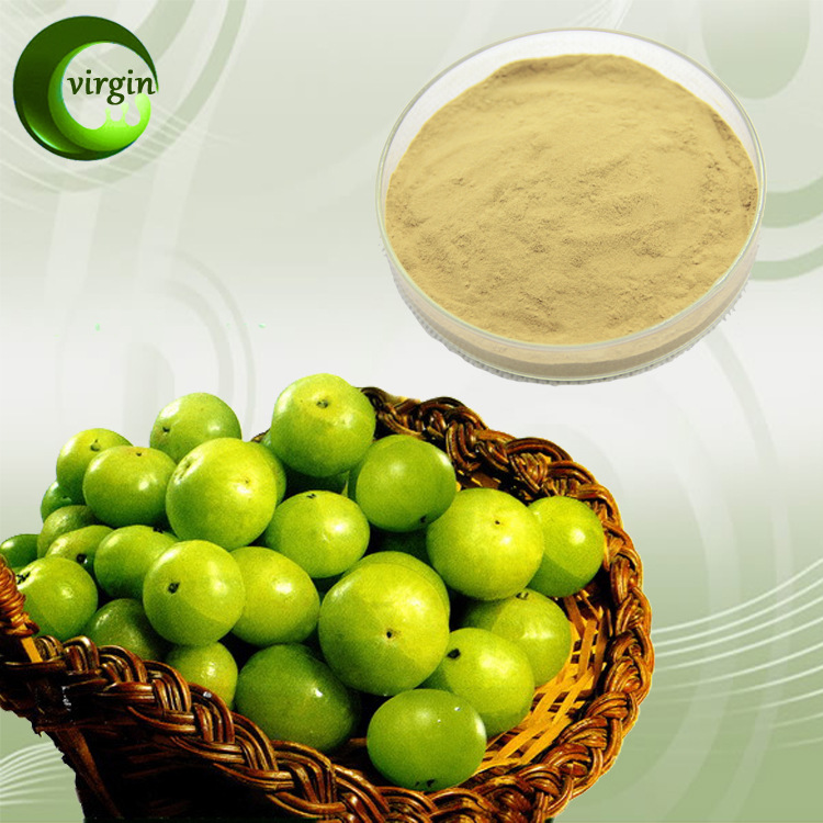 sc厂家 余甘子粉 全水溶果粉 食品级原料 植物提取物 资质齐全