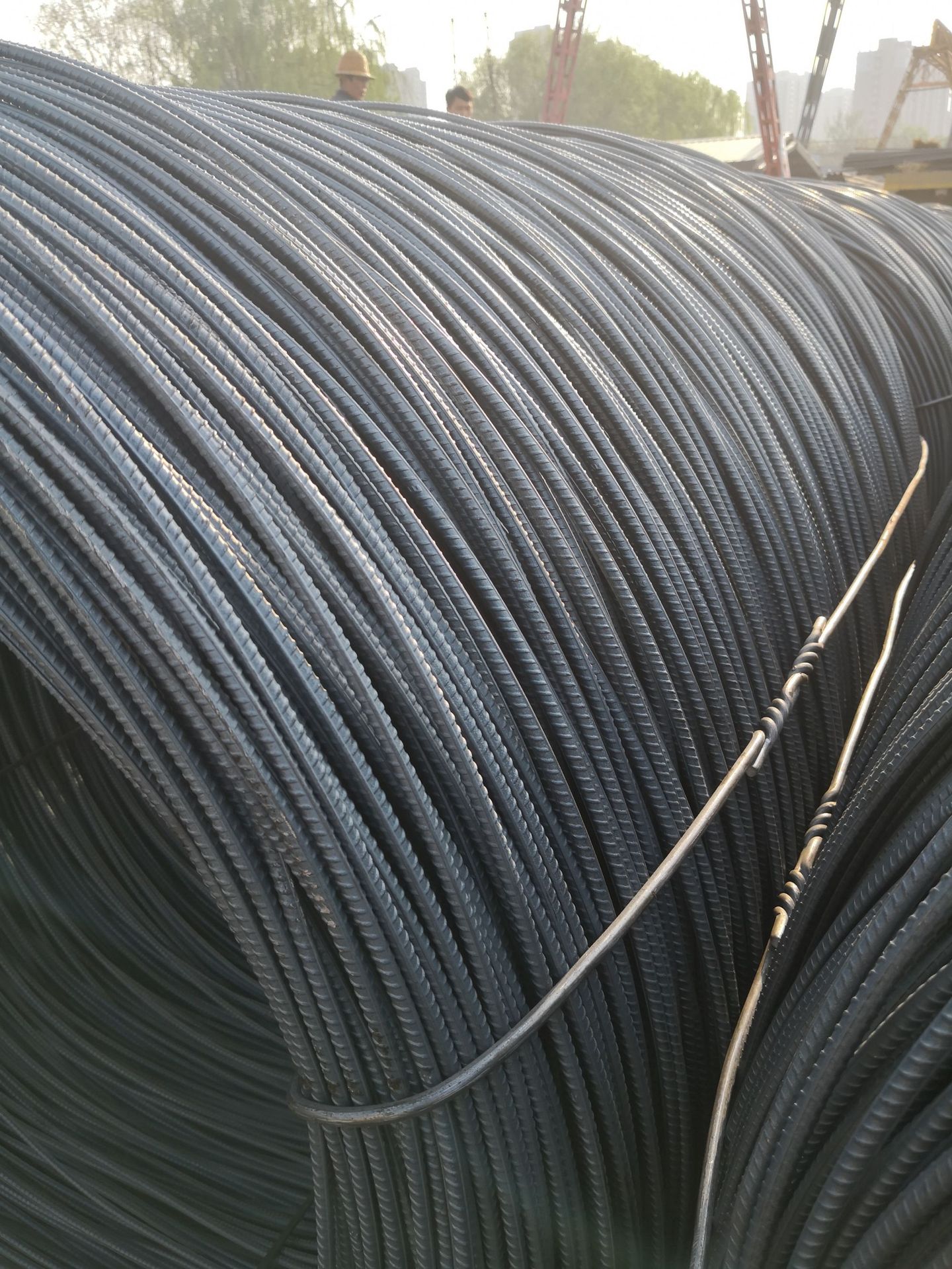 现货供应盘螺 三级盘螺 盘螺钢筋hrb400 规格全价格优惠