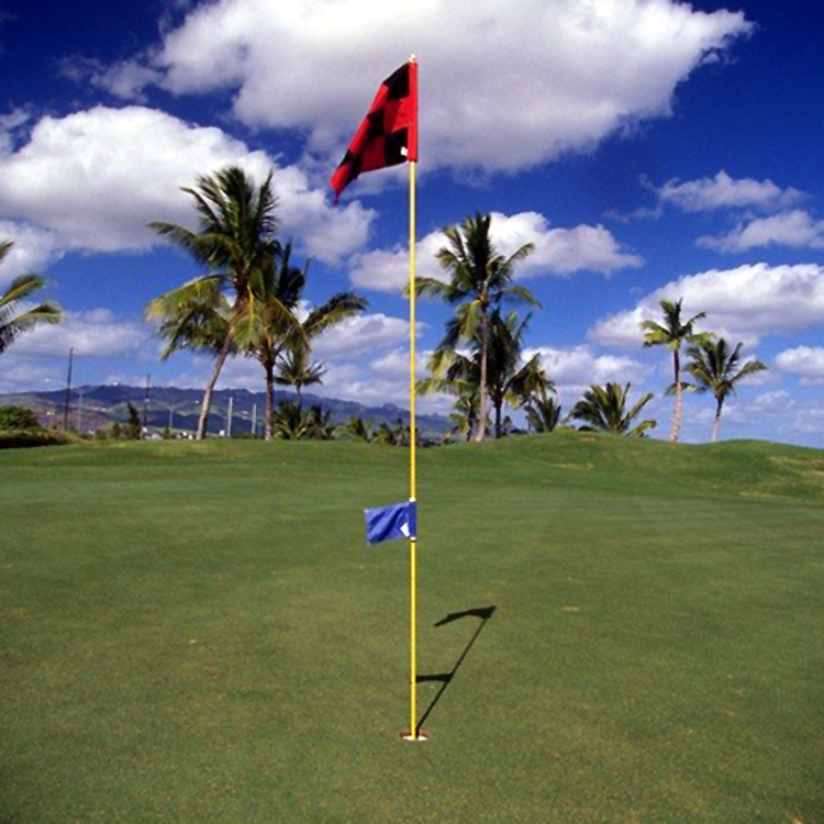 高尔夫旗杆 果岭旗杆 球会比赛旗杆 球场用品格子数字旗面洞杯