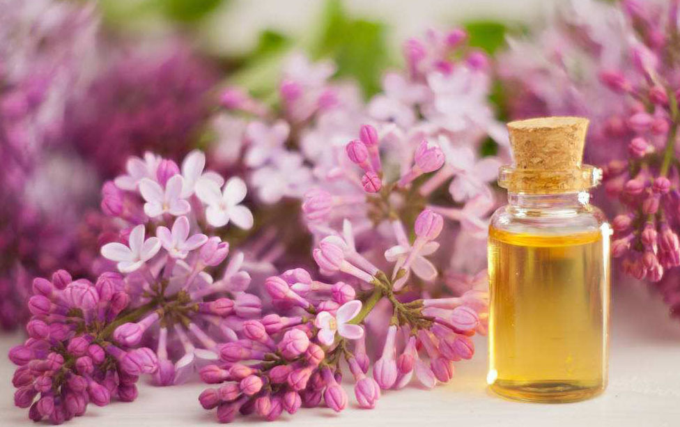 丁香油 鱼饵香精丁香精油 零售批发 包邮质量保证 厂家直销