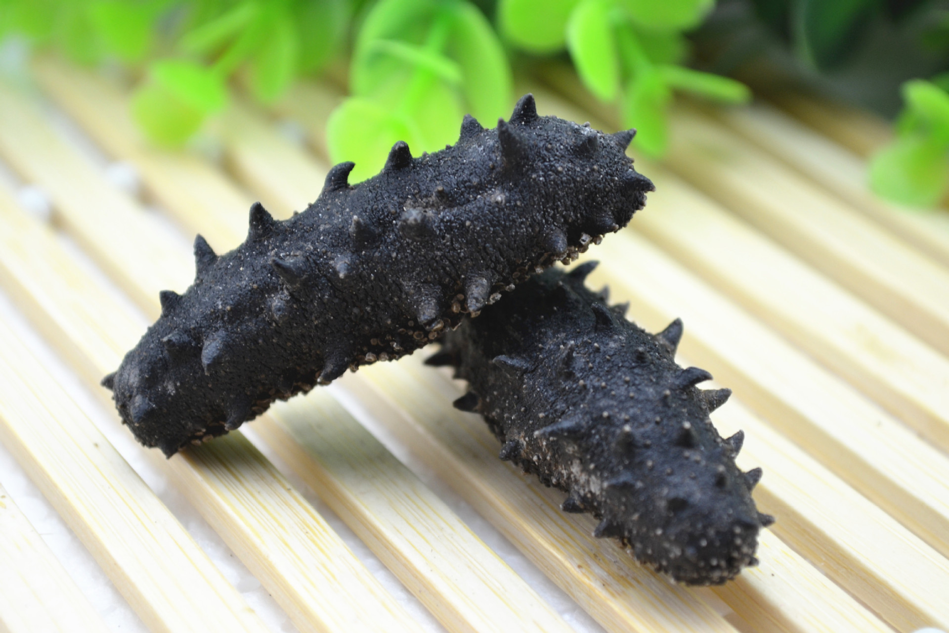 细数关于海参,那些你所不知道的事情