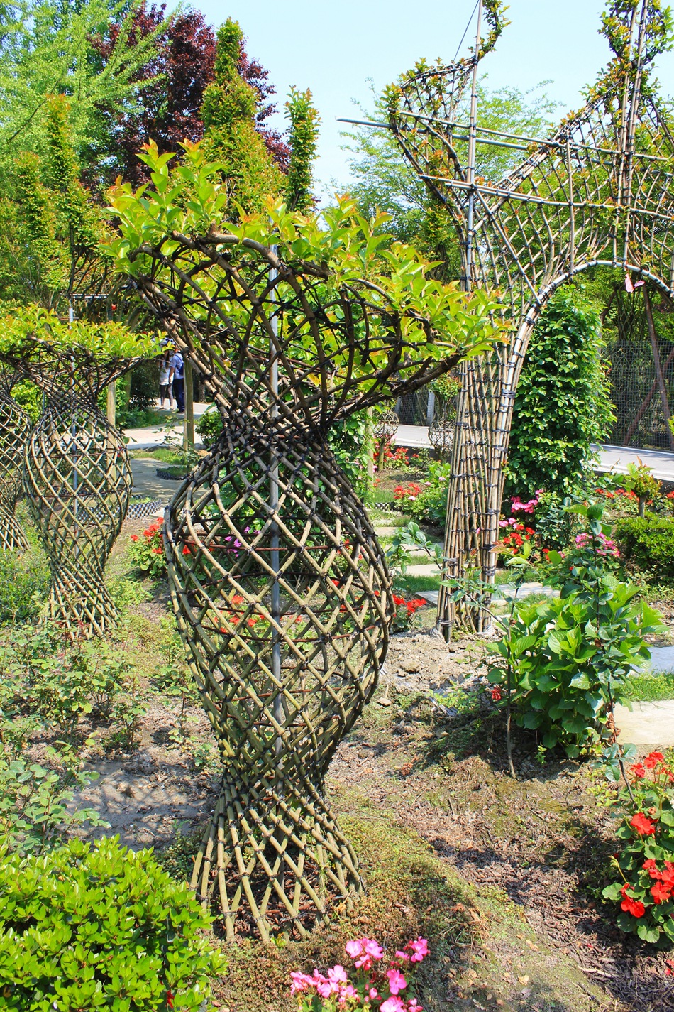 千畦花木 编艺植物展示