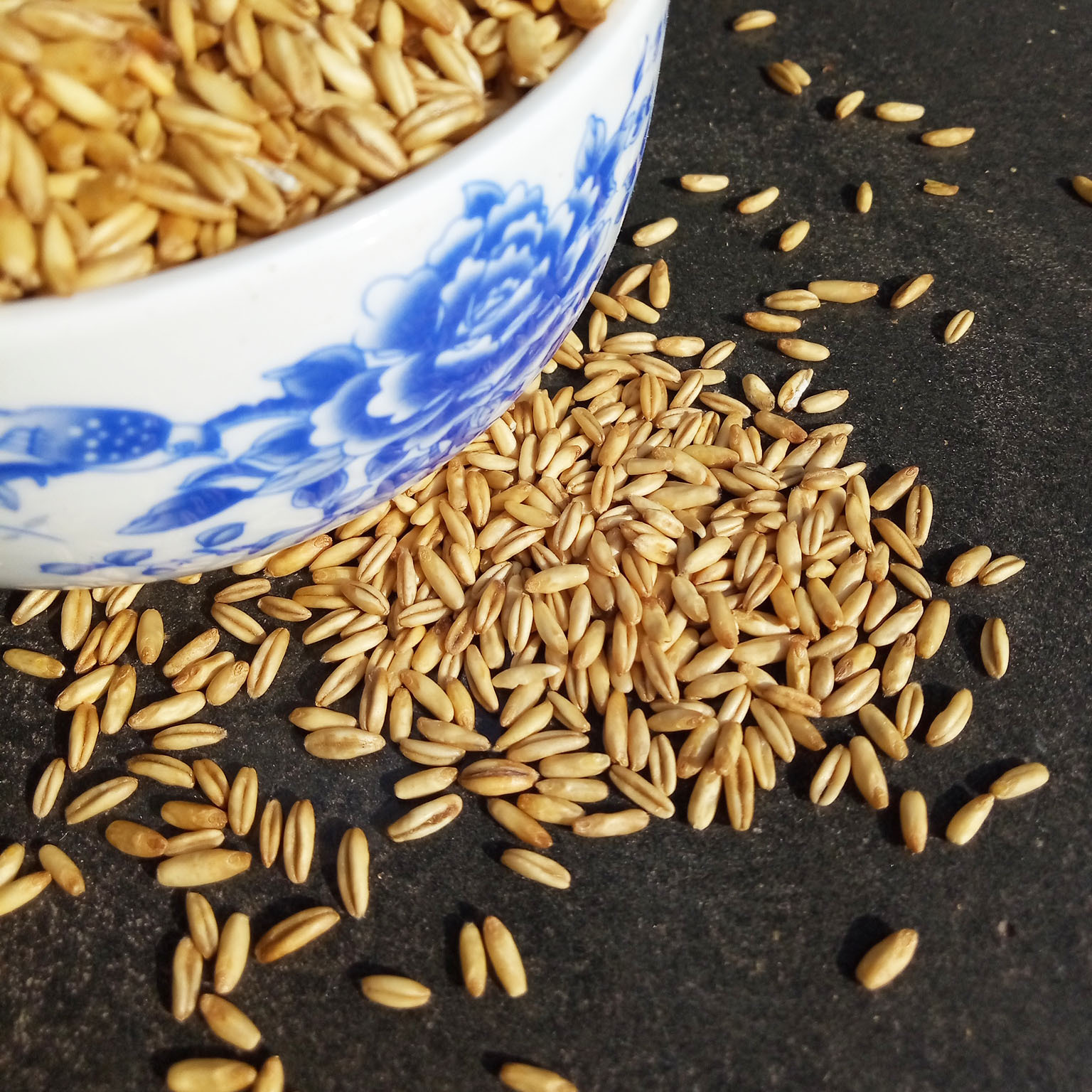 熟燕麦低温烘焙熟五谷杂粮豆浆麦类磨粉原料麦米散装-阿里巴巴