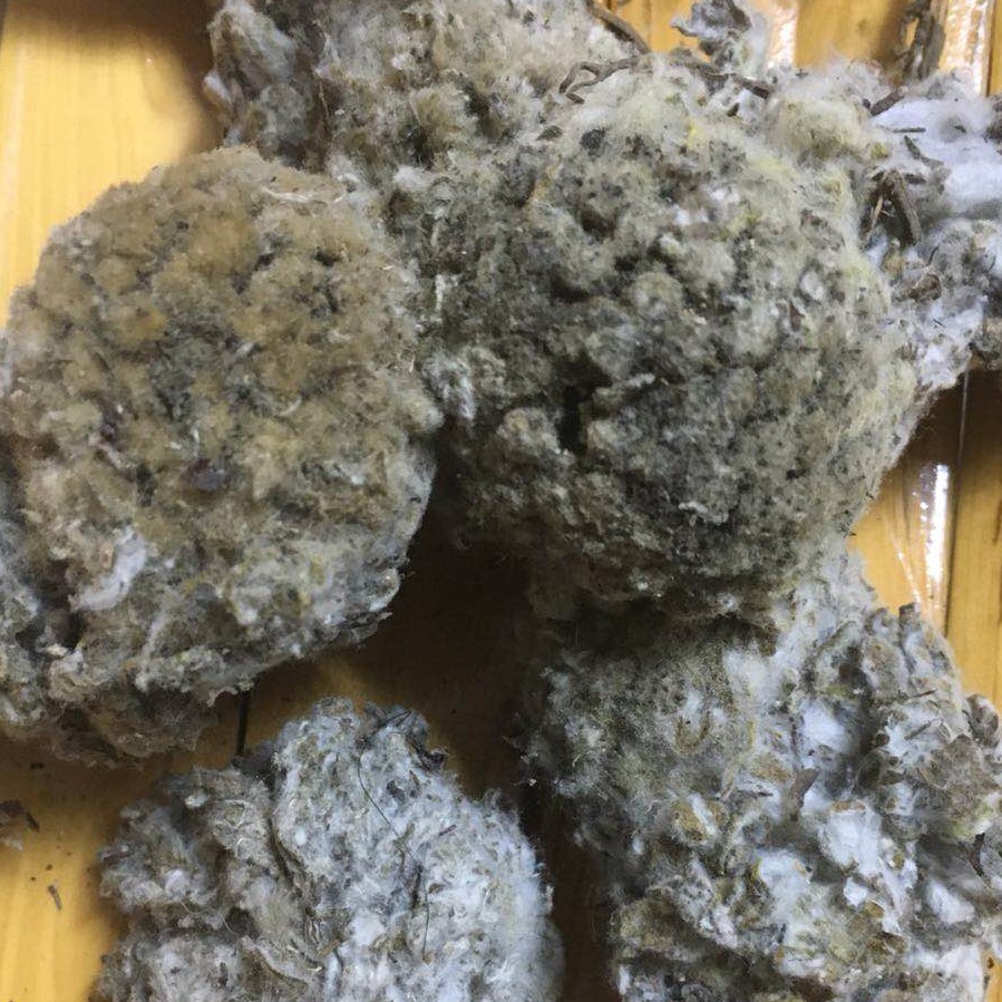 批发青海玉树土特产雪莲花藏雪莲自然晒干雪莲花一件代发