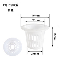 33-42mm水培植物定植篮 PE蔬菜用塑料定植篮 2号B水培定植篮