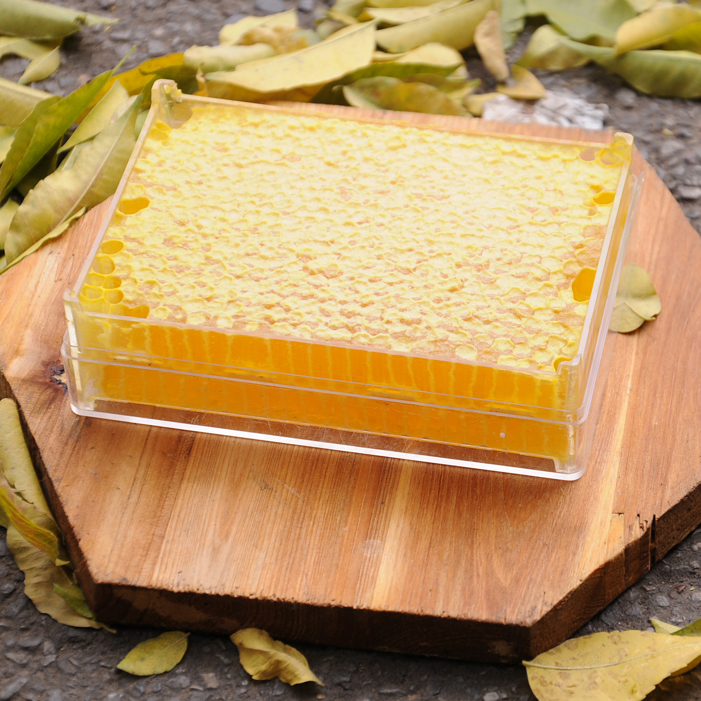 农家蜂场自产葵花蜂窝巢蜜500g盒装嚼着吃结晶百多花巢蜜1斤