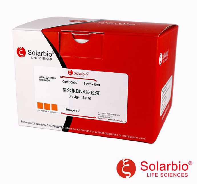 福尔根dna染色液(feulgen stain) 福尔根dna染色液 dna染色液