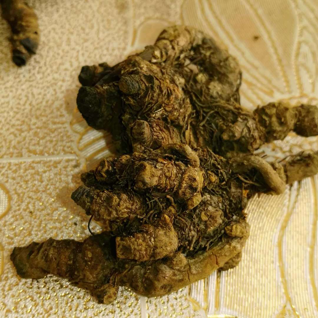 批发中药材鸡爪黄连,单支连,个,精选个,片价格合理量大从优可