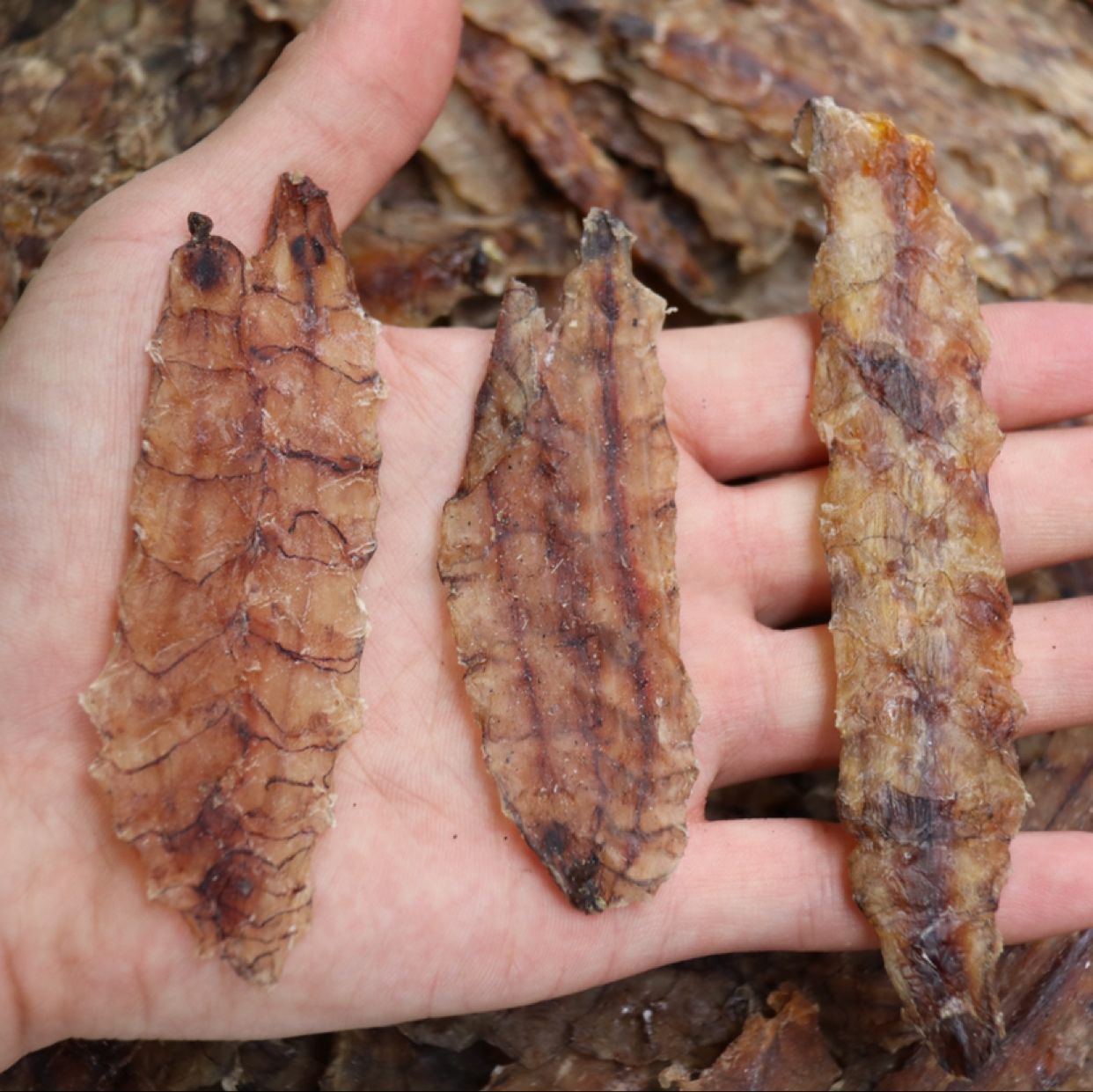 虾姑 皮皮虾干潮汕特产干货虾蛄干虾干虾姑干皮皮虾肉500g包邮