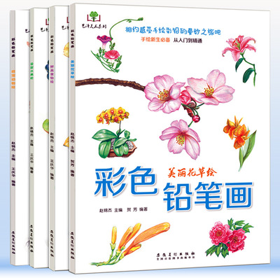 彩色铅笔画 儿童成人画画美术教材动物水果美食花草绘素描铅笔画