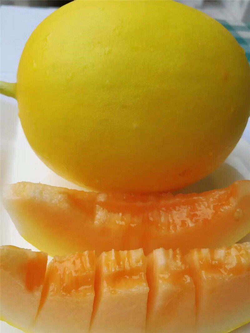 空运阎良金红脆黄甜瓜陕西清甜香瓜 非黄金蜜瓜羊角蜜东方蜜甜瓜