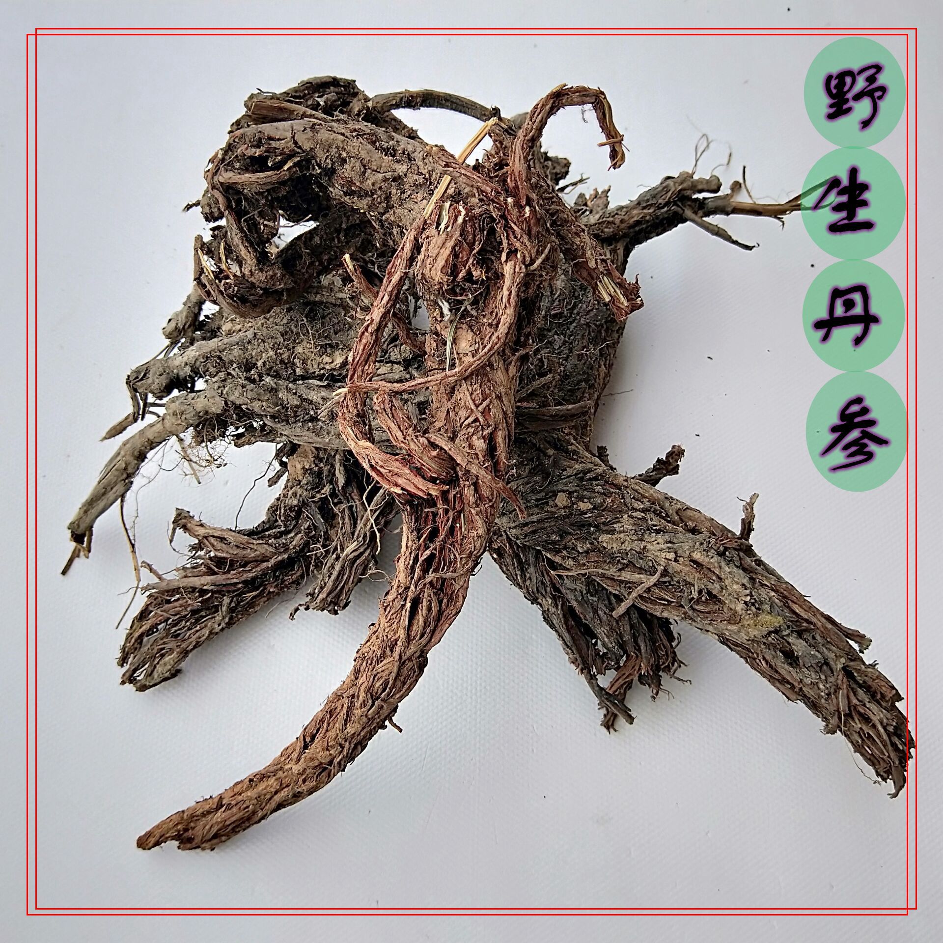 丹参 野生丹参 丹参 甘肃武都野生丹参 量大从优 产地批发