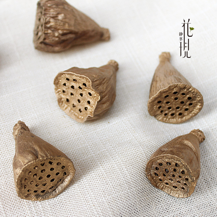 金色小莲蓬 干花束天然风干真花客厅卧室装饰落地摆设文艺干莲蓬